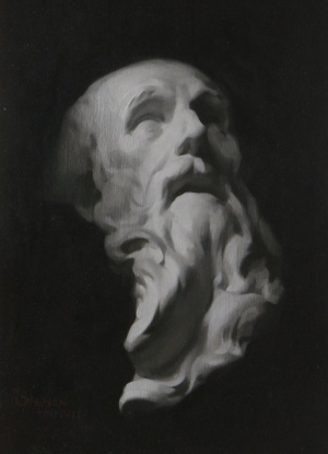 Stephen Bauman