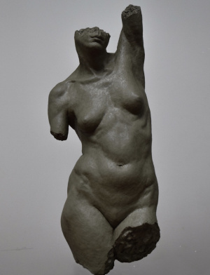 Amit Karo, Intermediate Sculpture life size torso, waterbased clay, FAA Florence