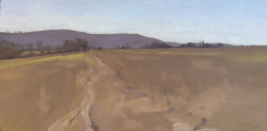 Fred Albrow, Intensive program, Landscape of meadow done in quarantine