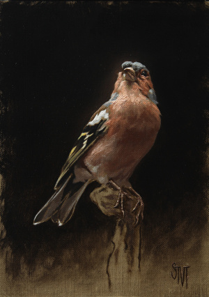 Sarah M. Gibson, "Portrait of a Chaffinch", Oil on linen panel, 13x18 cm, 2021 Sarah M. Gibson, "Portrait of a Chaffinch", Oil on linen panel, 13x18 cm, 2021
