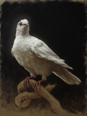 Sarah M Gibson, "Portrait of a Dove", Oil on linen panel, 18x24 cm, 2021 Sarah M Gibson, "Portrait of a Dove", Oil on linen panel, 18x24 cm, 2021