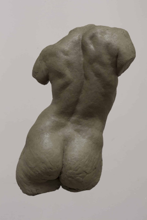 Bertrand Godefroy