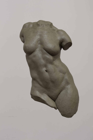 Bertrand Godefroy
