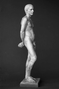 "Study of Charles", Bronze, H98 x W29 x D23 cm, 2010 Anna Lee-Hoelzle, Study of Charles, Bronze, H98 x W29 x D23 cm, 2010