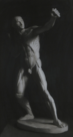 Anatomical cast drawing, Charcoal and white chalk on toned paper, 81x44 cm, 2007 Anatomical cast drawing, Charcoal and white chalk on toned paper, 81x44 cm, 2007
