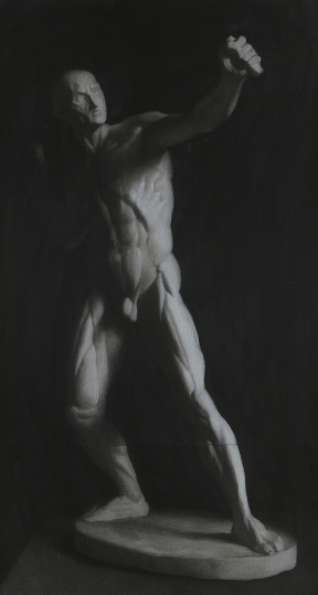 Anatomical cast drawing, Charcoal and white chalk on toned paper, 81x44 cm, 2007 Anatomical cast drawing, Charcoal and white chalk on toned paper, 81x44 cm, 2007