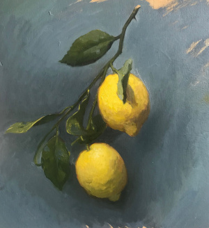 Daniela Astone Lemons Daniela Astone Lemons