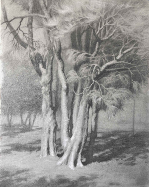 Madeleine Shaw, Intermediate program, Landscape drawing done in quarantine