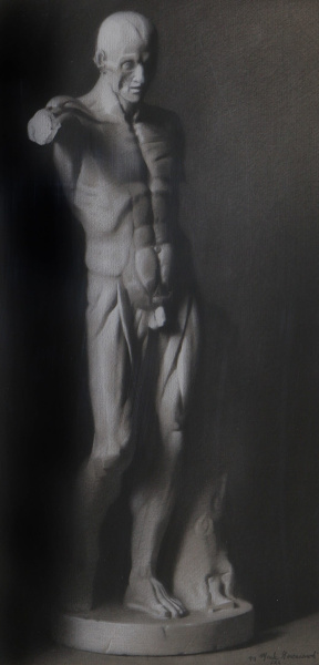 Mark Gucciardi, Intermediate (second year), Anatomical cast drawing, Charcoal and white chalk on toned paper 75x32 cm, 1999 Mark Gucciardi, Intermediate (second year), Anatomical cast drawing, Charcoal and white chalk on toned paper 75x32 cm, 1999