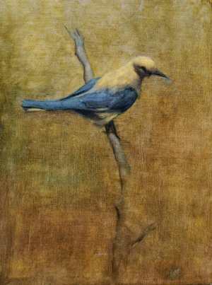 Nicholas Chaundy Perched Bird Nicholas Chaundy Perched Bird