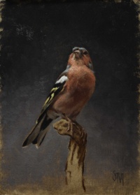 "Chaffinch at dusk", Oil on linen panel, 13 x 18 cm, 2020 Sarah Margaret Gibson, "Chaffinch at dusk", Oil on linen panel, 13 x 18 cm, 2020