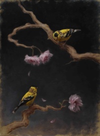 "Goldfinches and cherry blossoms", Oil on linen panel, 30 x 40 cm, 2020 Sarah Margaret Gibson, "Goldfinches and cherry blossoms", Oil on linen panel, 30 x 40 cm, 2020
