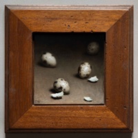 "Four Quail Eggs II", Oil on panel, 24 x 24 cm, 2020 Toby Neve, Four Quail Eggs II, Oil on panel, 24 x 24 cm, 2020