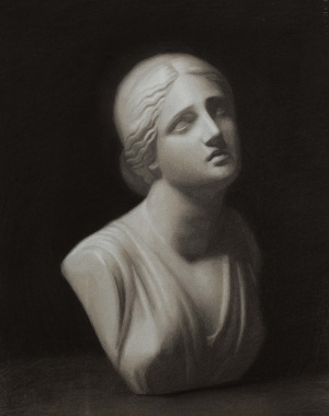 Louisa Steup