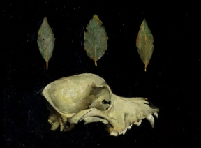 "The Mystery Canine", Oil on panel, 18 x 24 cm, 2020 Karla Miranda, The Mystery Canine, Oil on panel, 18 x 24 cm, 2020