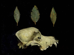 "The Mystery Canine", Oil on panel, 18 x 24 cm, 2020 Karla Miranda, The Mystery Canine, Oil on panel, 18 x 24 cm, 2020