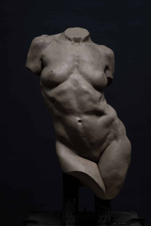 Andrea Jimenez Carrasquillo