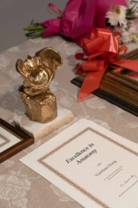 Prizes and diplomas Prizes and diplomas