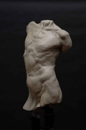 Elizabeth Guo, Intermediate Sculpture, Second Year, Life-size torso 3